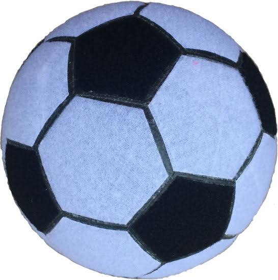 Velcro Ball Set